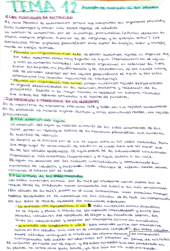 Miniatura del documento apuntes-temas-12-13.pdf