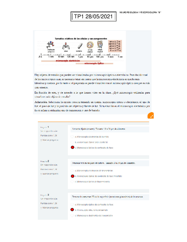 Miniatura del documento tp 1-neuro.pdf