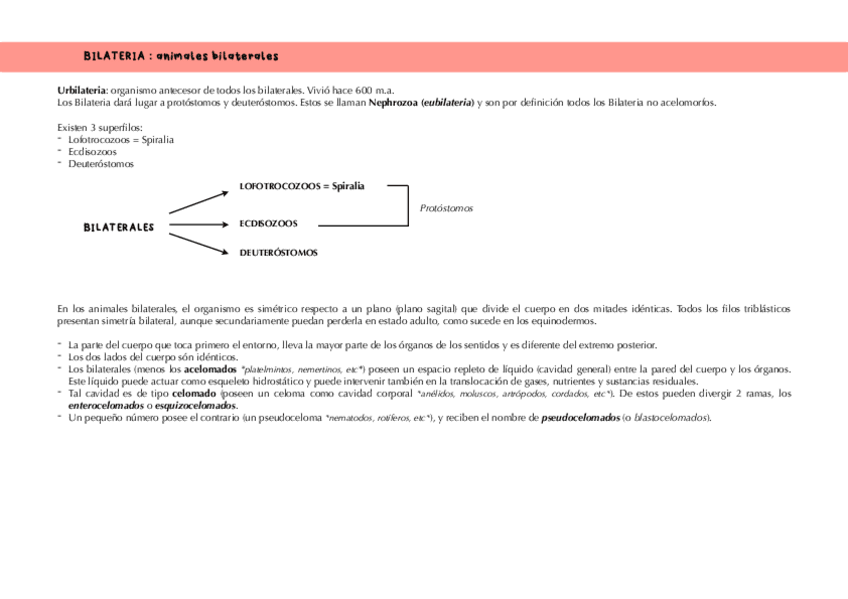 Miniatura del documento Eumetazoa-BILATERALES.pdf