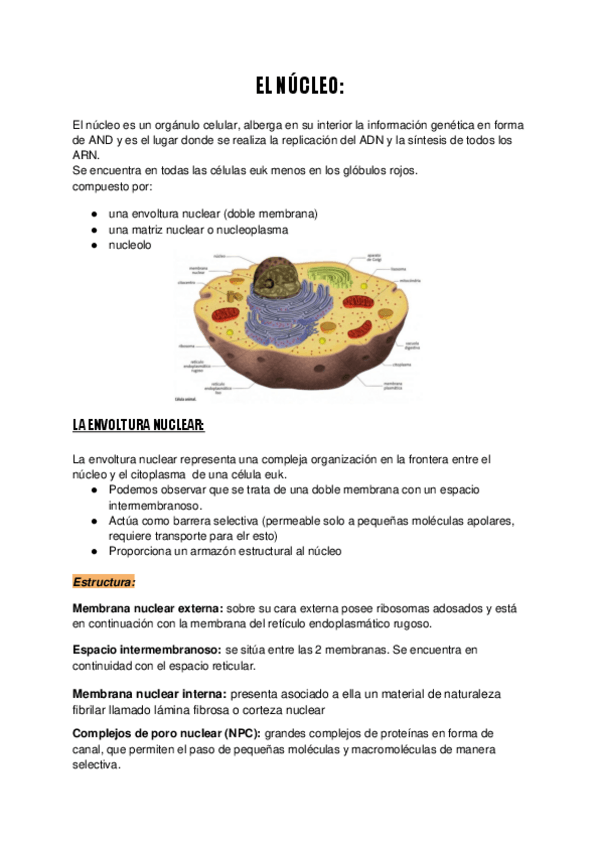 Miniatura del documento EL-NUCLEO-t3.pdf