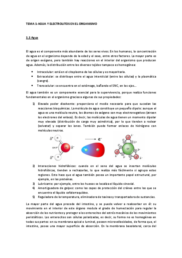 Miniatura del documento TEMA 1- Agua y electrolitos.pdf