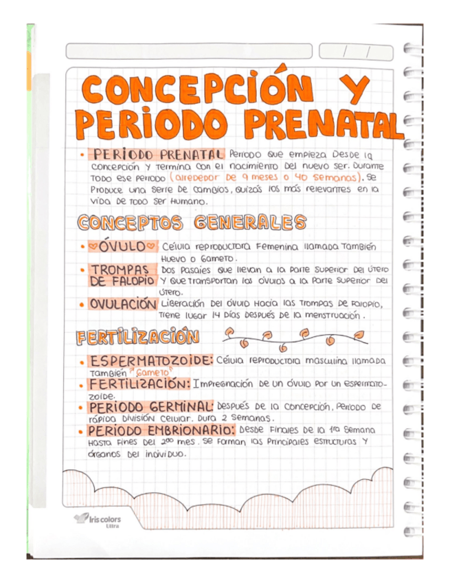 Miniatura del documento CONCEPCION-Y-PERIODO-PRENATAL.pdf