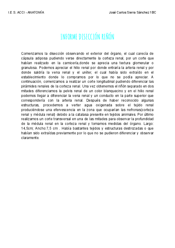 Miniatura del documento Diseccion-de-rinon-con-informe.pdf