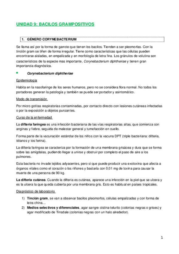Miniatura del documento UNIDAD-9-bacilos-grampositivos.docx