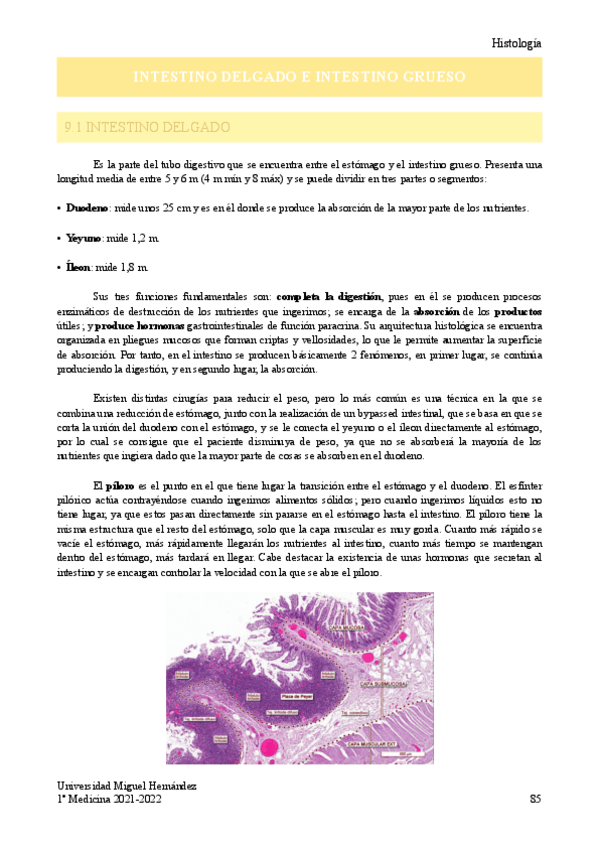 Miniatura del documento T.pdf