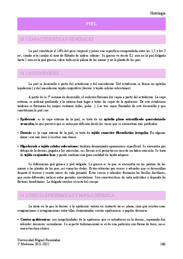 Miniatura del documento T.pdf