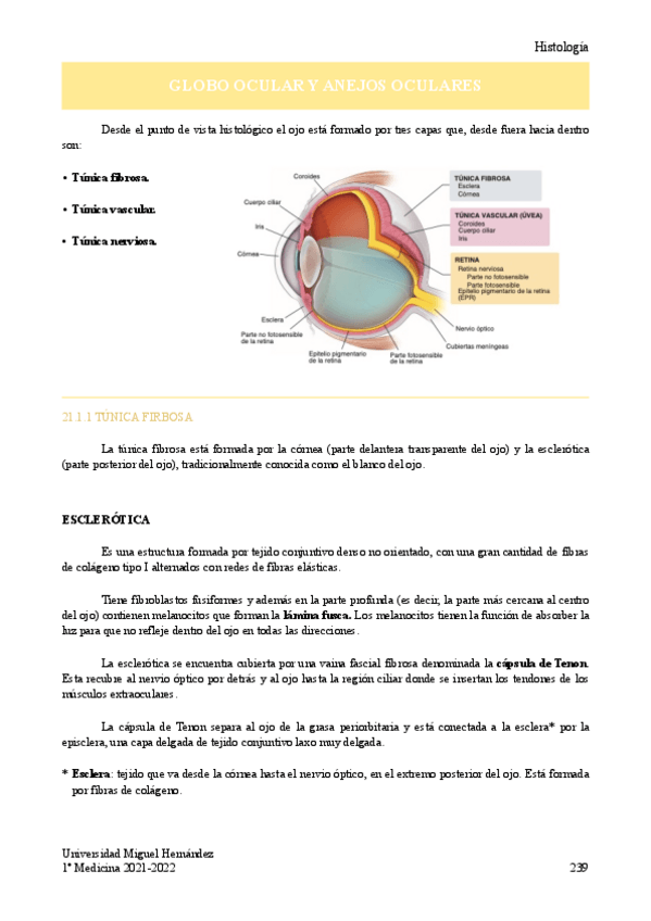 Miniatura del documento T.pdf
