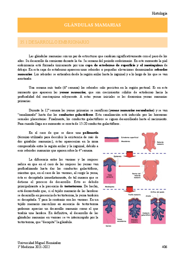 Miniatura del documento T.pdf