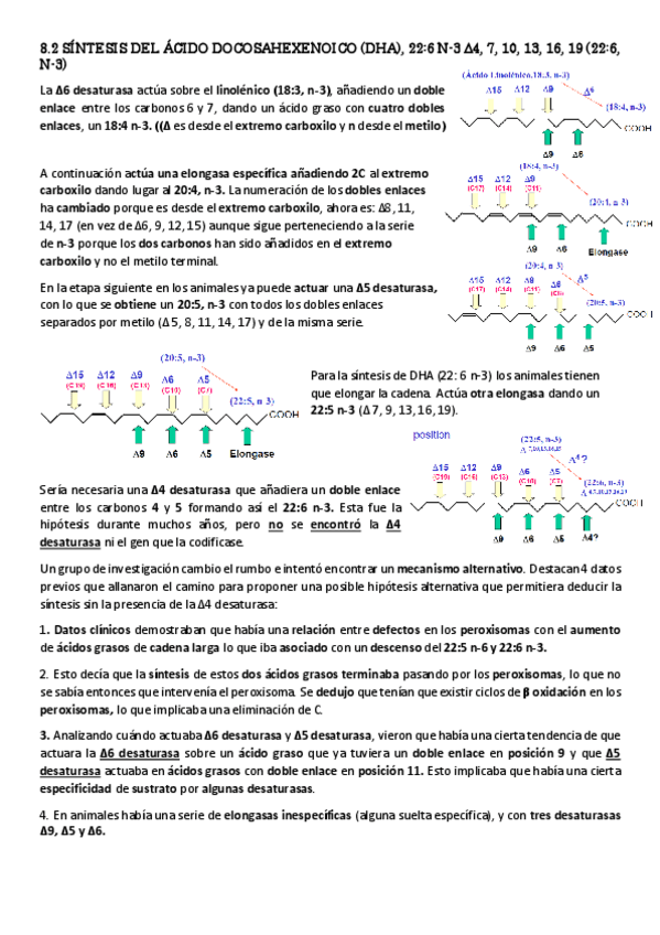 Miniatura del documento T-20-bq-10.pdf