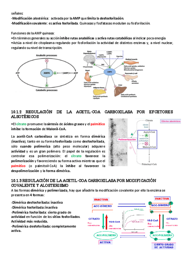 Miniatura del documento T-20-bq-15.pdf
