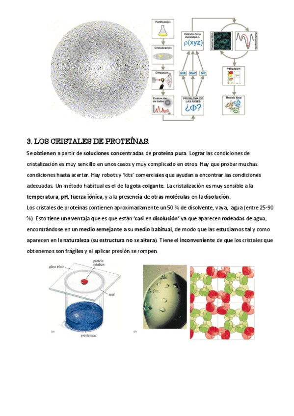 Miniatura del documento Temas-15-16-17-18-19-11.pdf