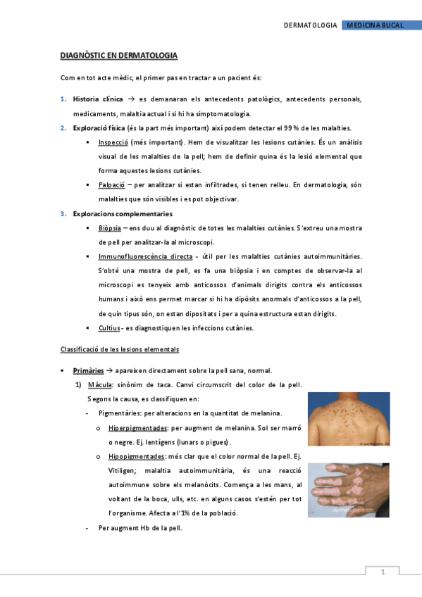 Miniatura del documento tema-24-DIAGNOSTIC-EN-DERMATOLOGIA.pdf