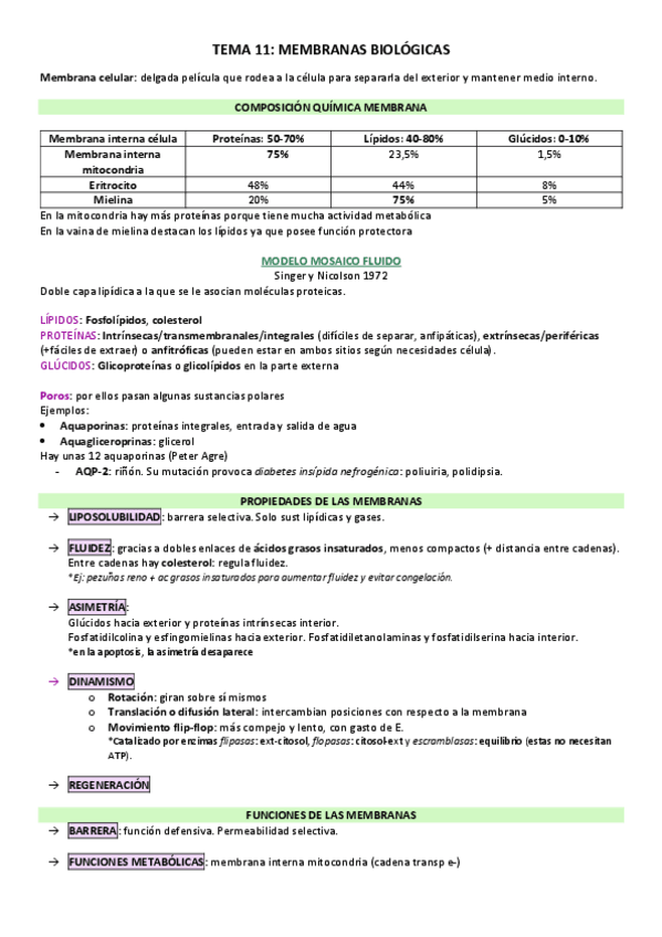 Miniatura del documento T11-bq.pdf