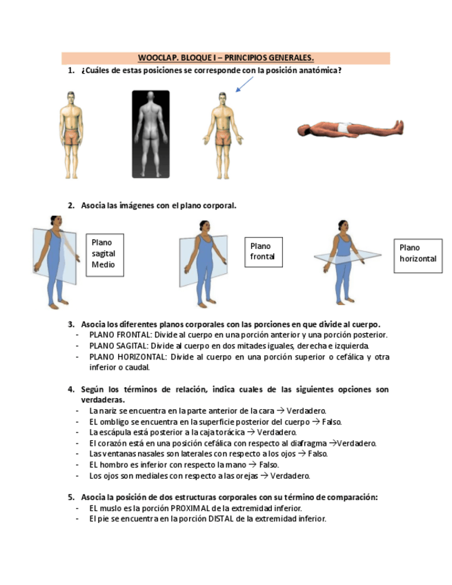 Miniatura del documento WOOCLAP-BLOQUE-1.pdf