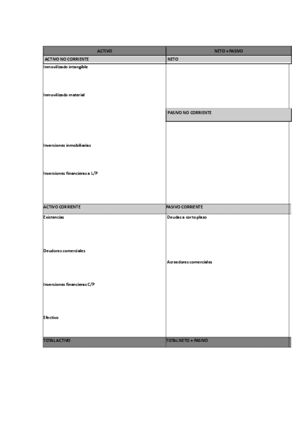 Miniatura del documento PLANTILLA-PARA-BALANCE.pdf
