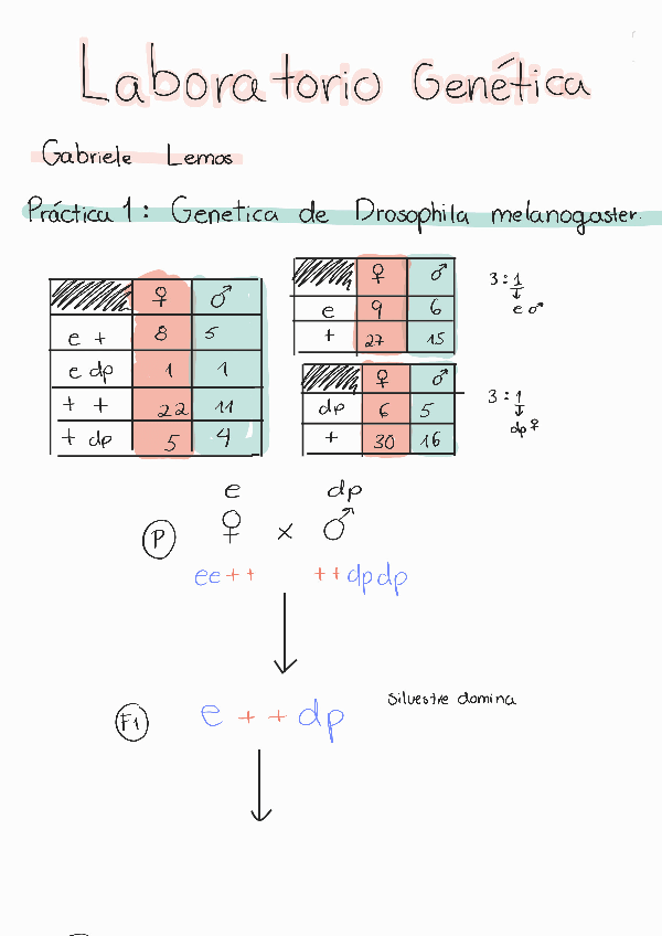 Miniatura del documento LAB-Genetica-Cuaderno.pdf