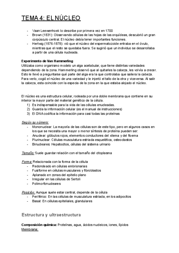 Miniatura del documento TEMA-4-EL-NUCLEO.pdf