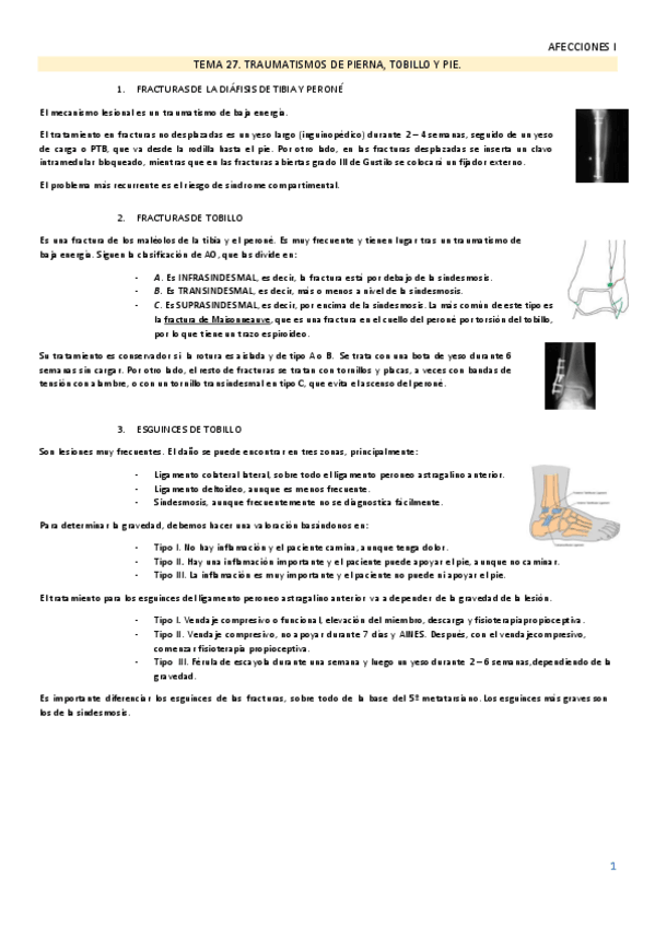 Miniatura del documento TEMA-27.pdf