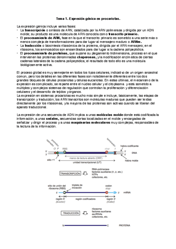 Miniatura del documento Cult_1.pdf