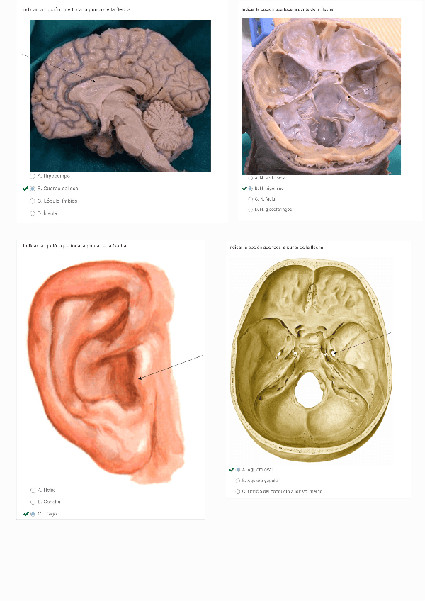 Miniatura del documento Examen-practica-6.pdf