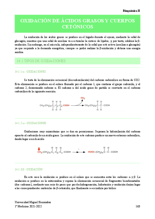 Miniatura del documento OXIDACION-DE-ACIDOS-GRASOS-Y-CUERPOS-CETONICOS.pdf