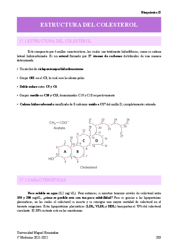 Miniatura del documento ESTRUCTURA-DEL-COLESTEROL.pdf