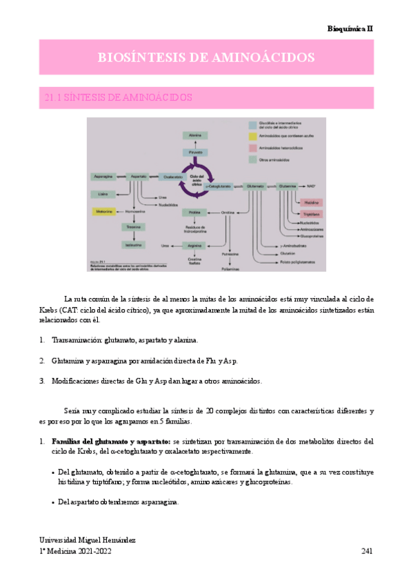 Miniatura del documento BIOSINTESIS-DE-AMINOACIDOS.pdf