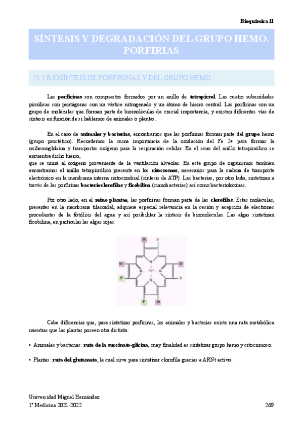 Miniatura del documento SINTESIS-Y-DEGRADACION-DEL-GRUPO-HEMO-PORFIRIAS.pdf