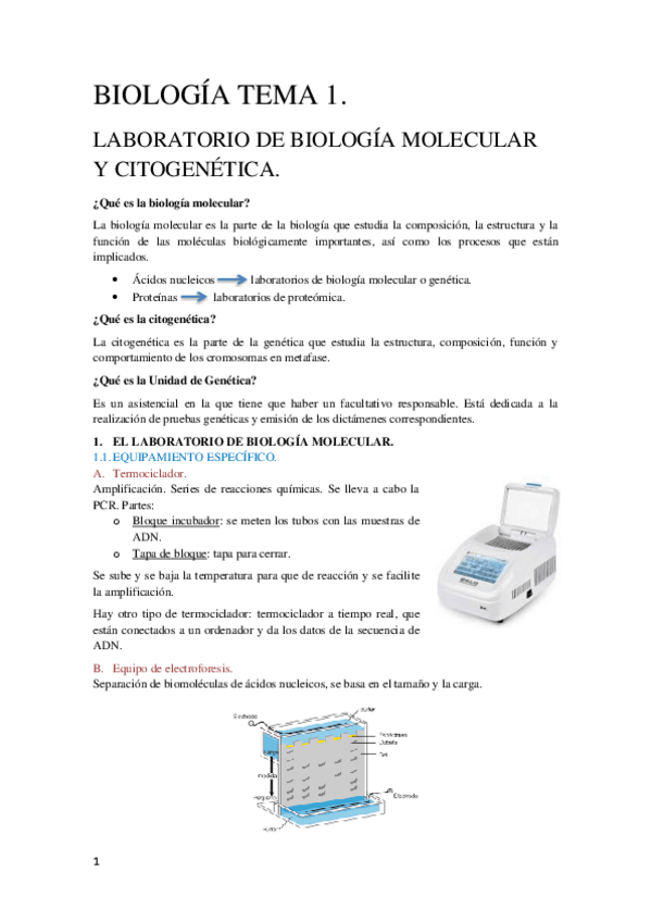 Miniatura del documento Tema-1-Biologia-Molecular.pdf