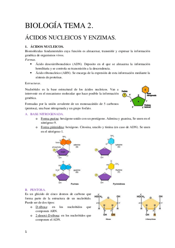 Miniatura del documento Tema-2-Biologia-Molecular.pdf