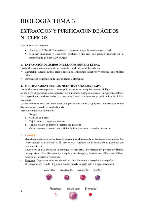 Miniatura del documento Tema-3-Biologia-Molecular.pdf
