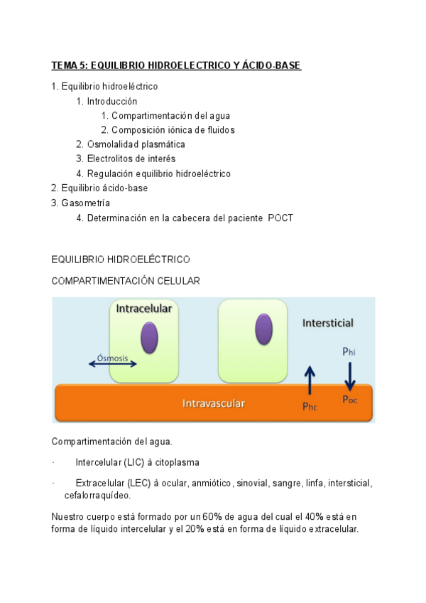Miniatura del documento TEMA-5-EQUILIBRIO-HIDROELECTRICO-Y-ACIDO-BASE.pdf