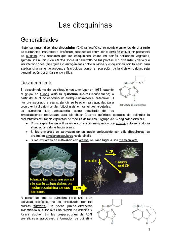 Miniatura del documento Tema-5.pdf