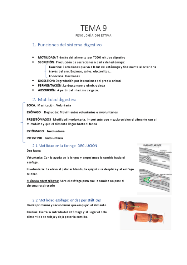 Miniatura del documento Tema-9-fisiologia-digestiva.pdf