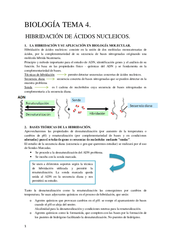 Miniatura del documento Tema-4-Biologia-Molecular.pdf