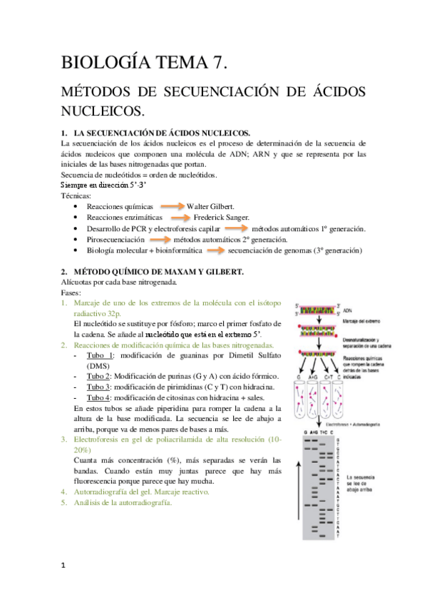 Miniatura del documento Tema-7-Biologia-Molecular.pdf