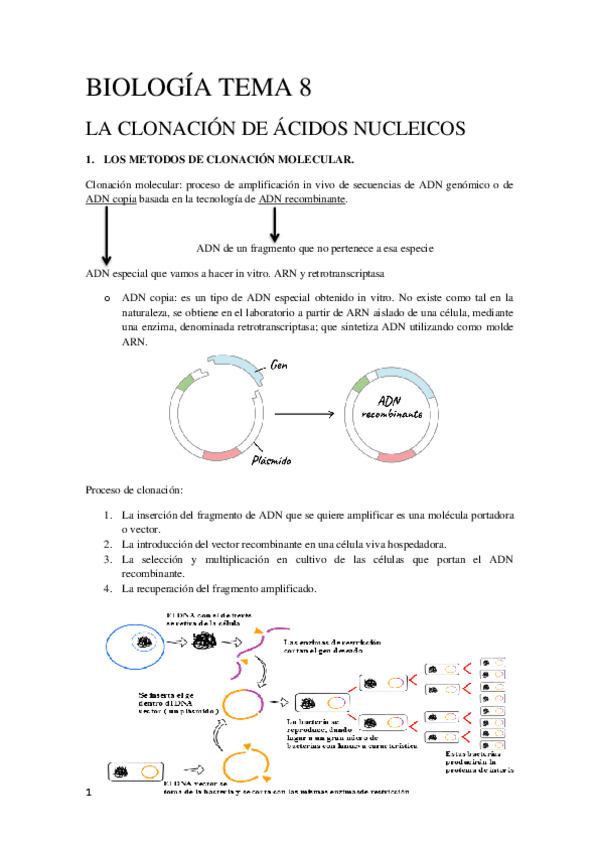 Miniatura del documento Tema-8-Biologia-Molecular.pdf