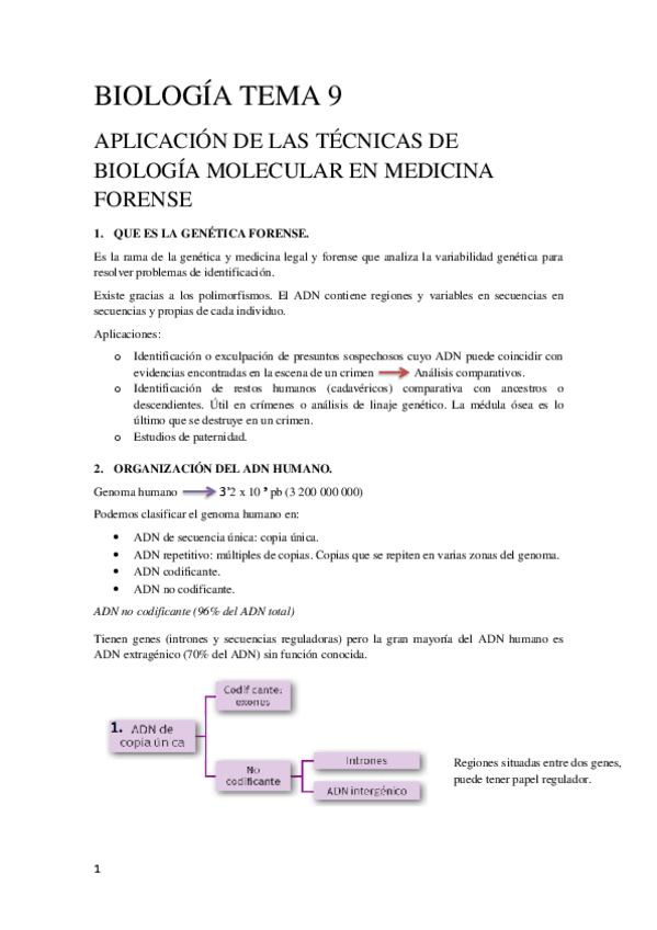 Miniatura del documento Tema-9-Biologia-Molecular.pdf