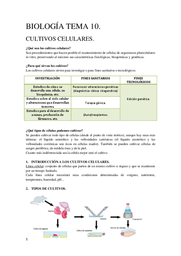 Miniatura del documento Tema-10-Biologia-Molecular.pdf
