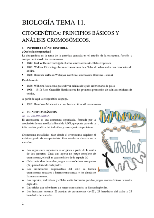 Miniatura del documento Tema-11-Biologia-Molecular.pdf