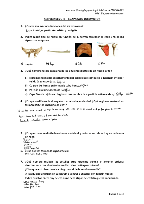 Miniatura del documento Ejercicios-anatomia-tema-6.pdf
