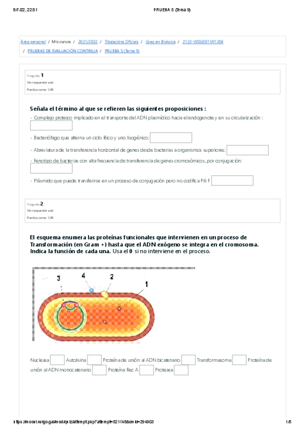 Miniatura del documento PRUEBA-5-Tema-9.pdf