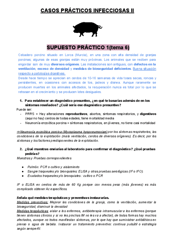 Miniatura del documento Supuestos-practicos-corregidos.pdf