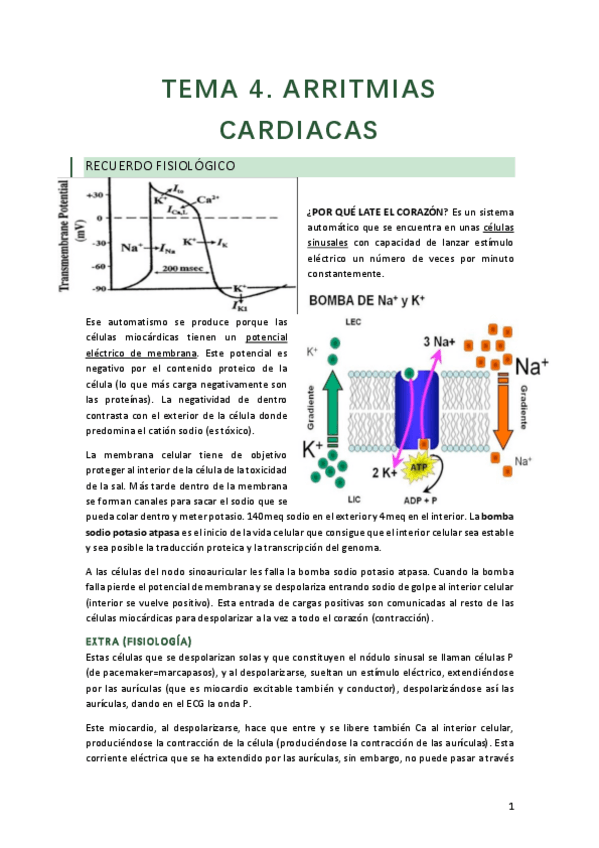 Miniatura del documento 04.pdf