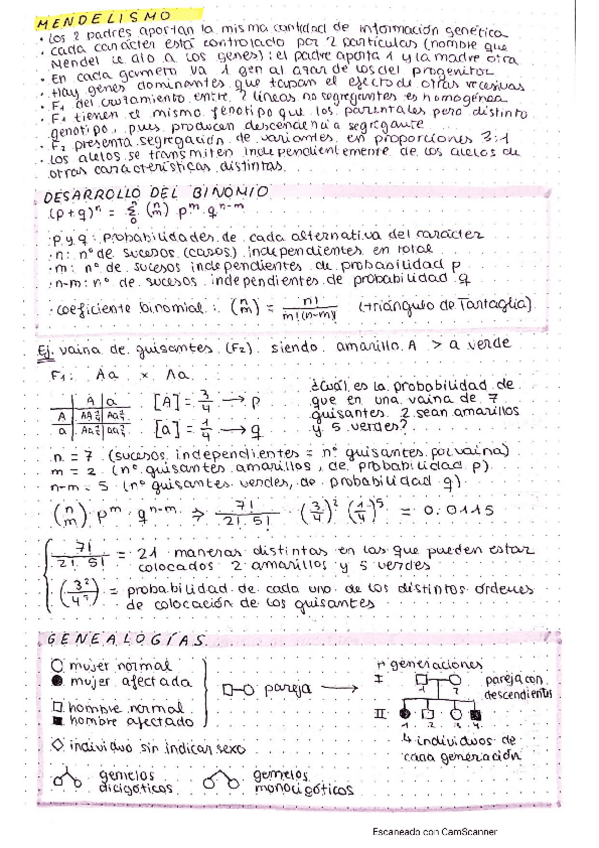 Miniatura del documento teoria-problemas.pdf