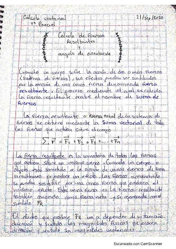 Miniatura del documento Natalia-Perez-PulidoInvestigacion.pdf