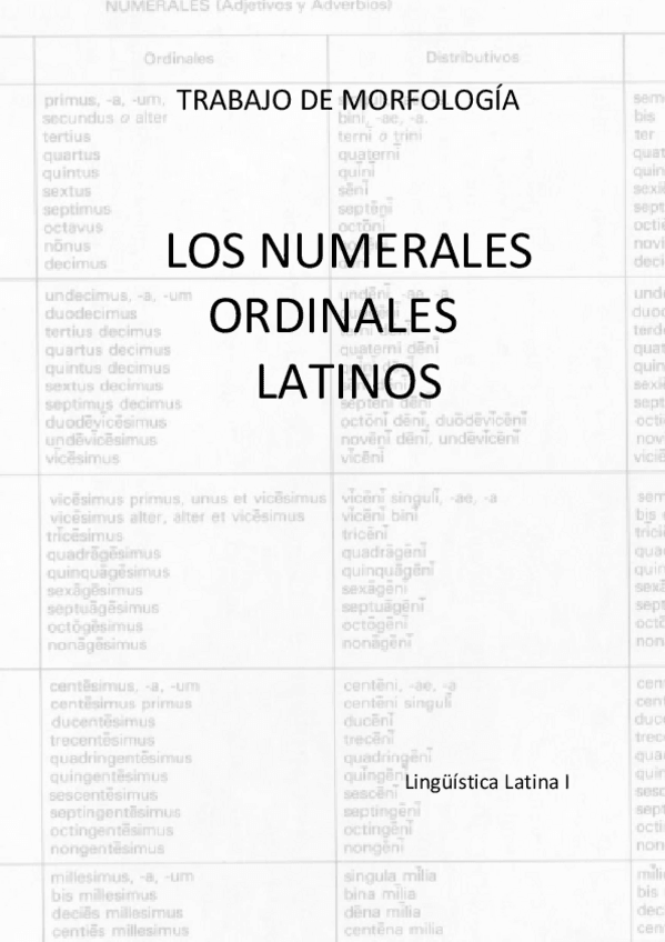 Miniatura del documento Trabajo-de-morfologia.pdf