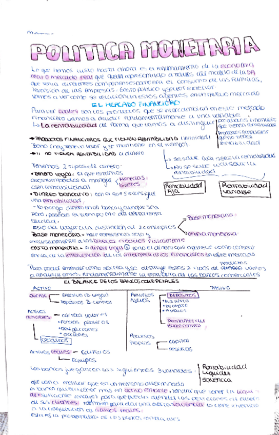 Miniatura del documento politica-monetaroa.pdf