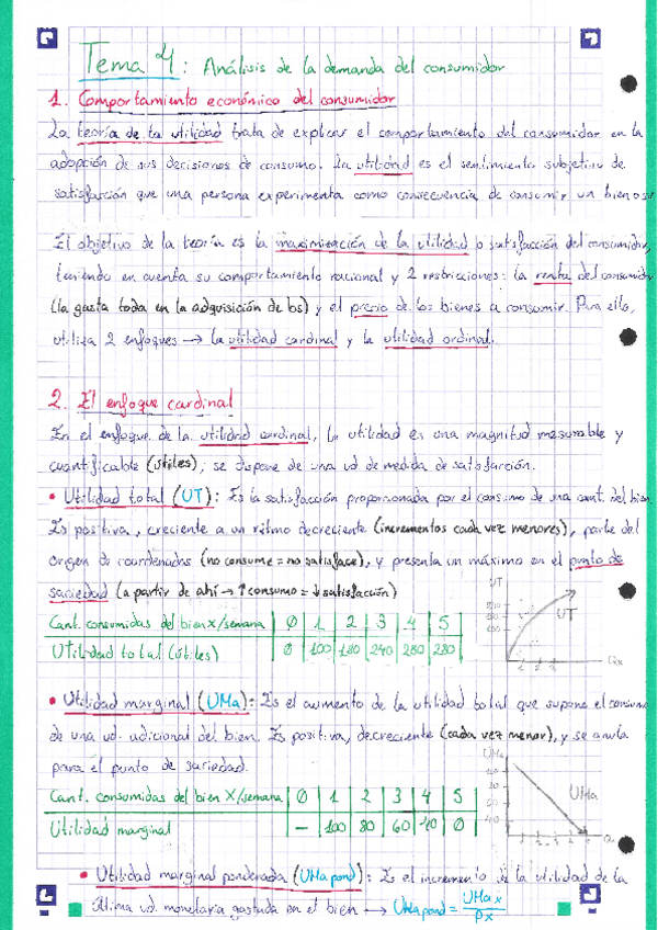 Miniatura del documento ECO-Tema-4.pdf