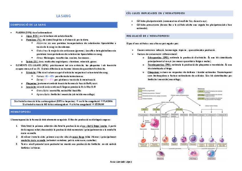 Miniatura del documento Resum-examen-TDI.pdf
